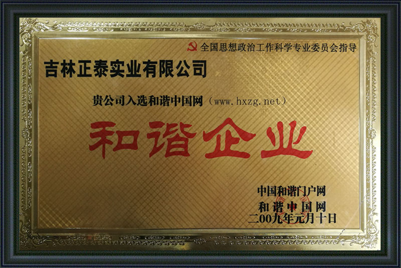 正泰和諧中國(guó)企業(yè).jpg